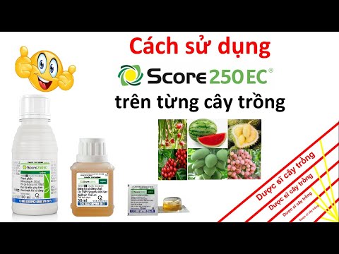 Video Score 250EC phòng trị chi tiết từng bệnh hại trên các... - youtube
