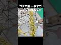 0.1mm単位の造形!3Dプリンターと職人技が織りなす荒廃の美学 #模型 #作り方 #すすき