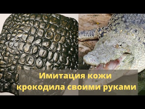 Как сделать искусственную кожу в домашних условиях