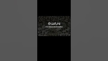 تلاوة خاشعة من سورة يس – الشيخ سعود الشريم