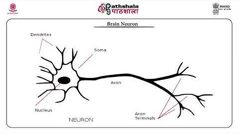 Self Learning Video AI Module 9
