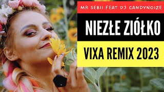 MR SEBII x DJ CandyNoize  - Niezłe Ziółko (Disco Polo) VIXA RMX 2023