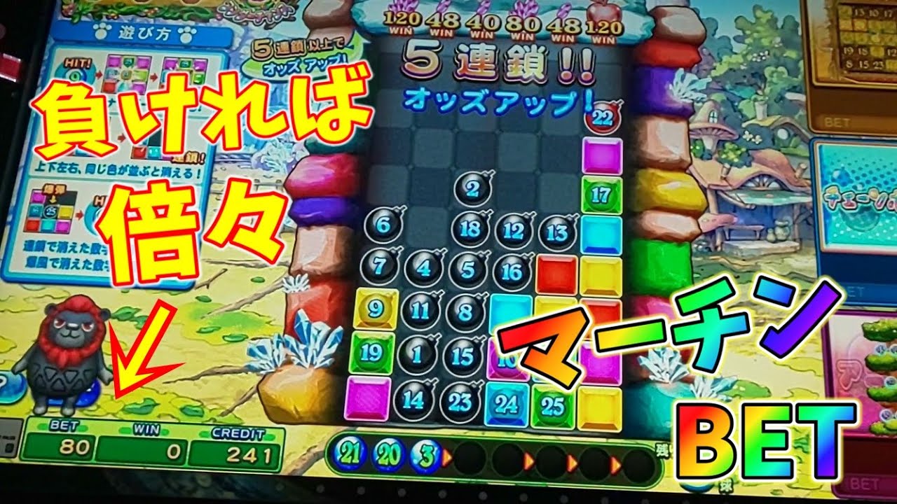 【検証】アニマロッタでマーチンBETをやれば増えるのか、やってみた！・前編【チェインボンバー】