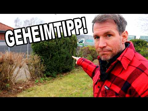 This plant is a hidden gem for your garden!