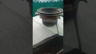 EXTREME BASS TEST SUBWOOFER