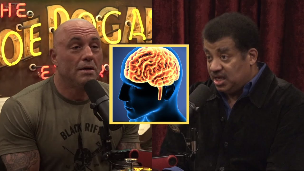 Joe Rogan & Neil Degrasse Tyson: Which animals have the biggest brains ...