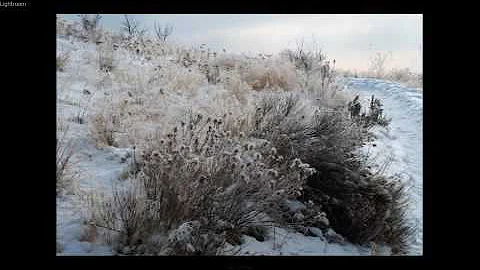 First day of winter 2016
