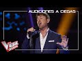 Alfonso Pahino canta 'Insurrección' | Audiciones a ciegas | La Voz Senior Antena 3 2020