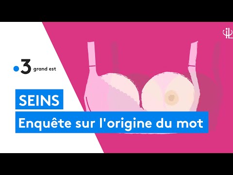 Enquête sur l'origine étymologique du mot 