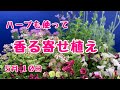 ハーブも使って香る寄せ植え　#プランツギャザリング