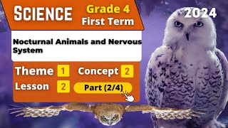 Nocturnal Animals and Nervous System | G4 | Unit 1 - Concept 2 - Lesson 2 - Part (2/4) | Science