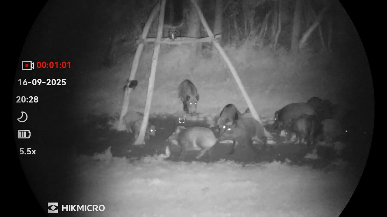 Hikmicro Habrok 4k HE25LN És...