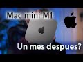 Mac mini M1 Despues de un Mes! Es la mejor Mac?