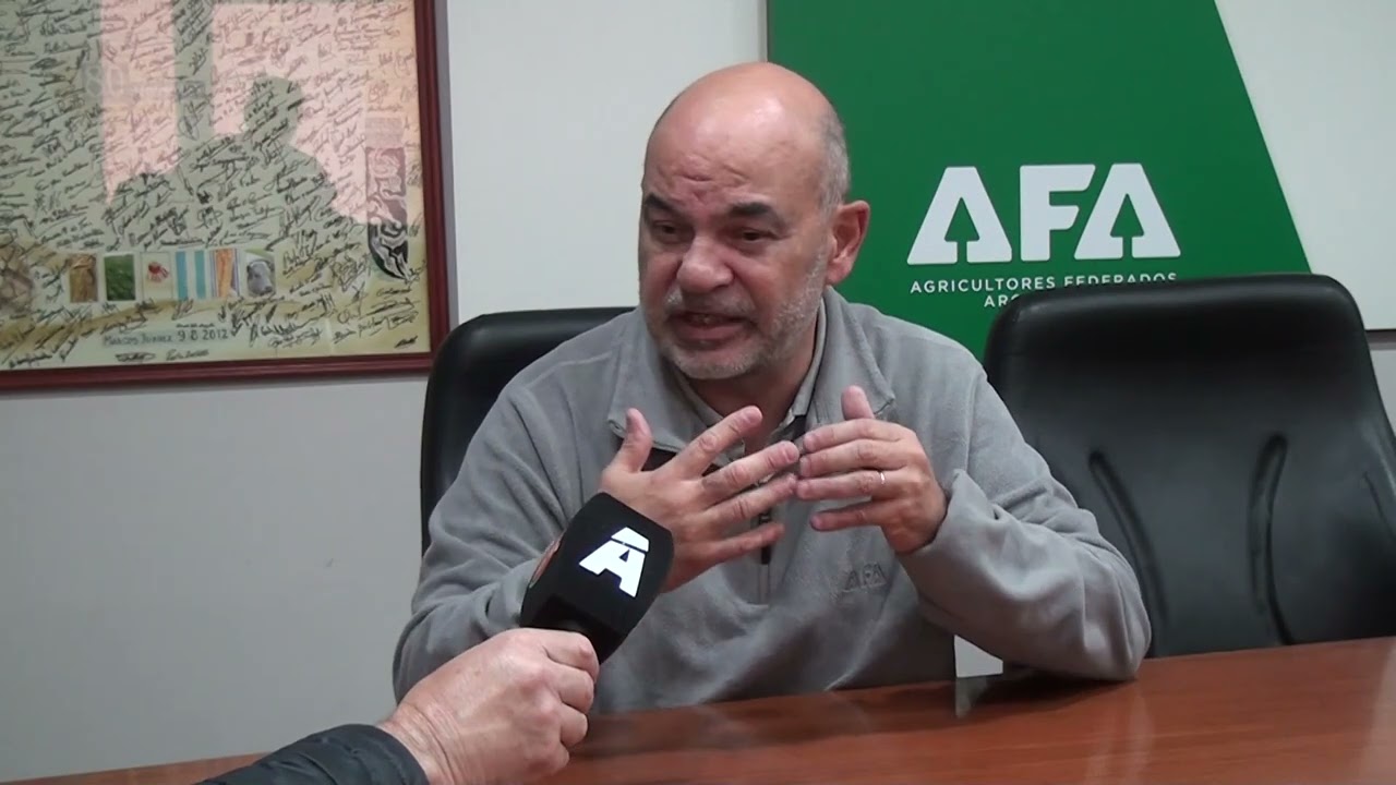 Marcos Juárez: Cosechas récord de trigo, maíz y soja. Más detalles