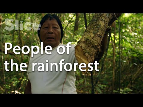 Keepers of the forest in French Guiana | SLICE