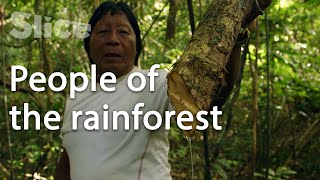 Keepers of the forest in French Guiana | SLICE