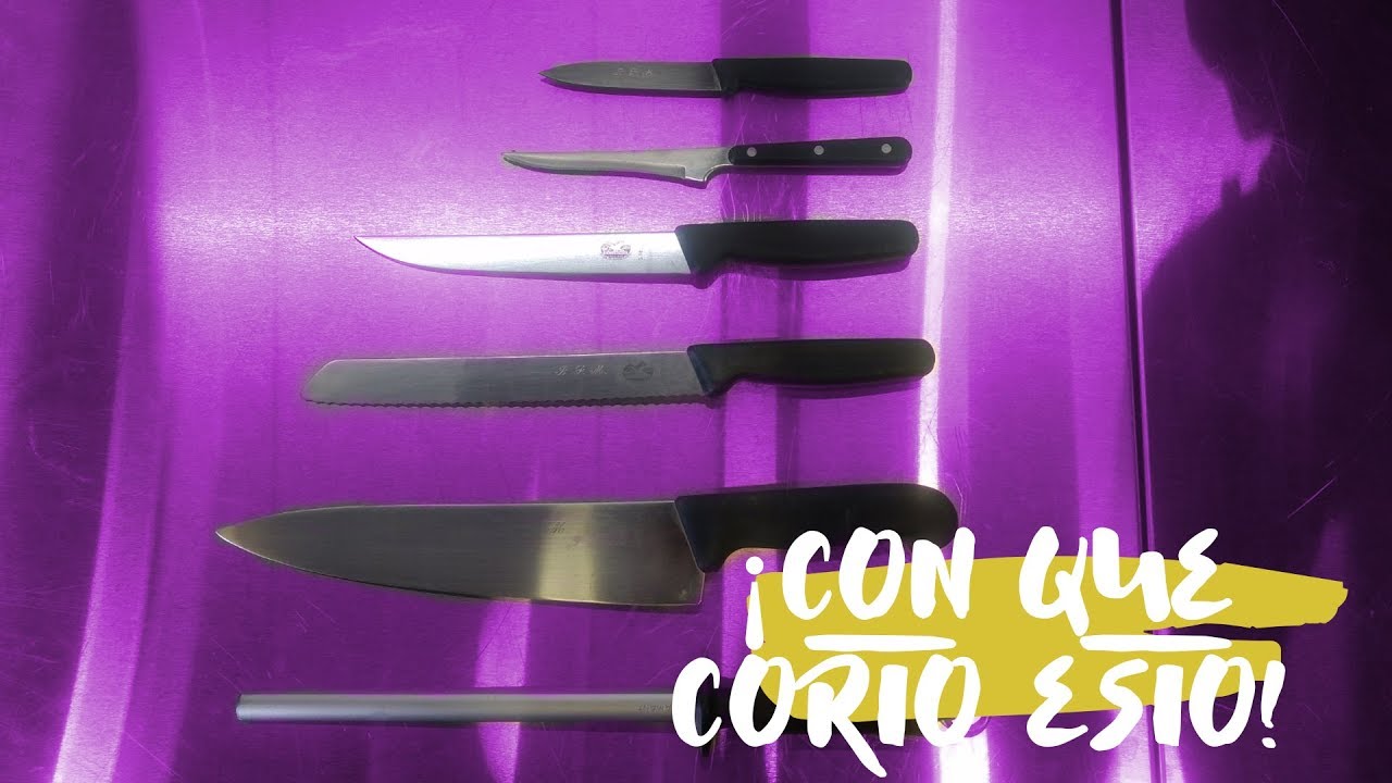 Estuche Profesional Porta Cuchillos 3 Claveles Lona R/ígida Lavable hasta 6 Piezas