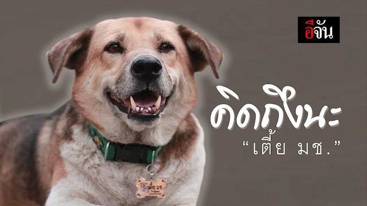 คิดถึงนะ พี่เตี้ย มช. | อีจัน EJAN
