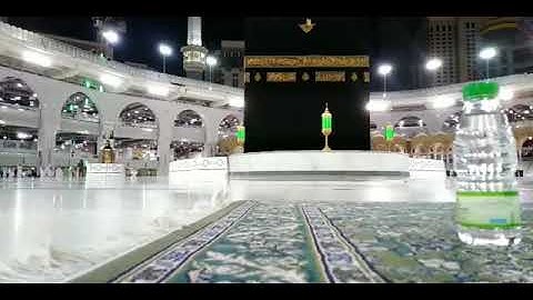 تلاوة معالي الشيخ أ.د. ‎#عبدالرحمن_السديس  من صلاة العشاء 11 صفر 1442هــ