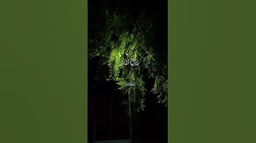 سورة فاطر #القارئ_ماهر_المعيقلي (إن تدعوهم لا يسمعوا دعائكم ولو سمعوا ما استجابوا لكم) #قرآن_كريم