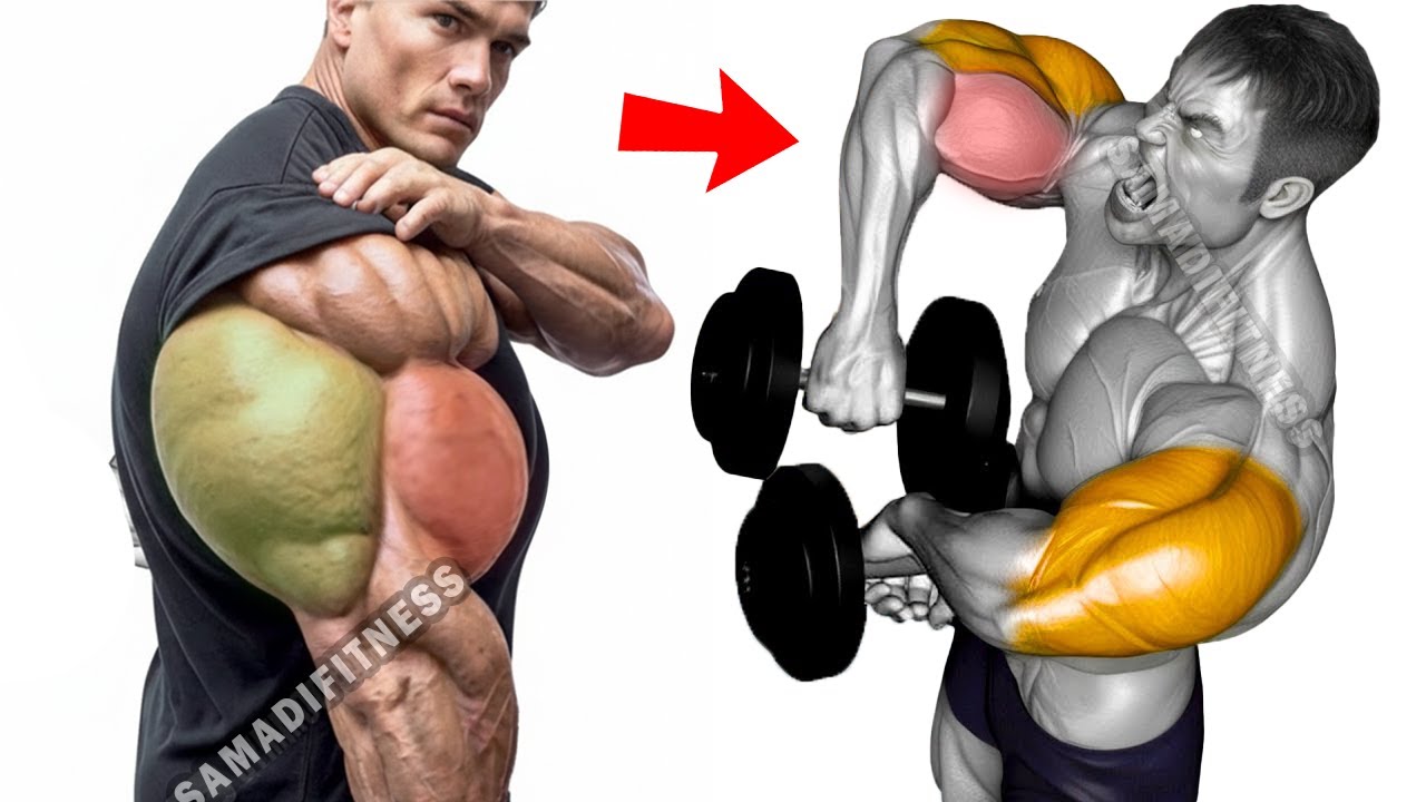 Best Biceps & Triceps Exercises 🔥 Build Bigger Arms Fast - Complete ...