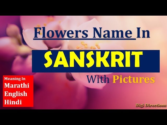 Flowers Name In Sanskrit With Pictures