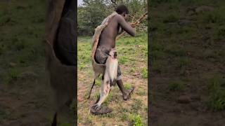 See, even if you go to collect food, sometimes you have to leave because of Maya.