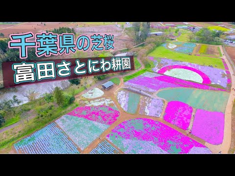 千葉県の芝桜名所 【 富田さとにわ耕園 】ドローン空撮 4K Drone Japan