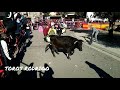 Roscaderos, vacas y más en Villafranca de Ebro (Zaragoza ...