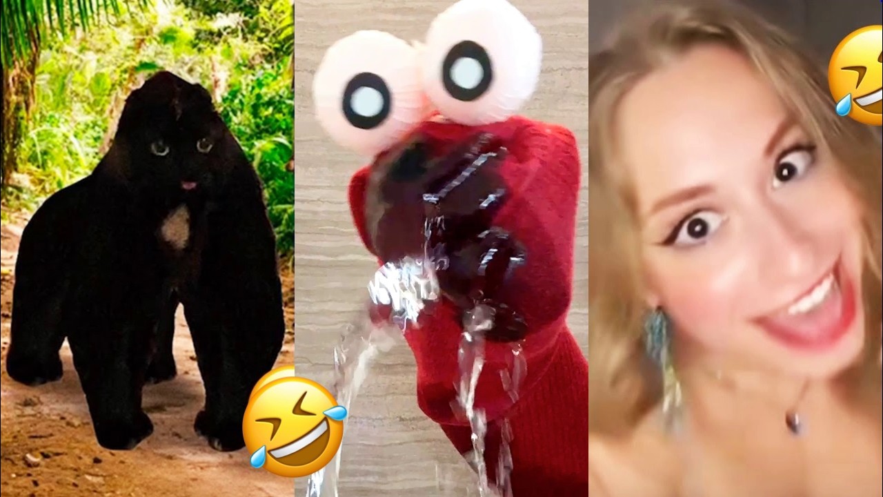 ののめん Nonomen funny video😂😂😂 BEST Nonomen Funny Try Not To Laugh