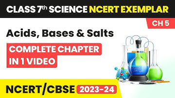 Acids, Bases & Salts - Quick Revision & NCERT Exemplar Solutions | Class 7 Science Chapter 5