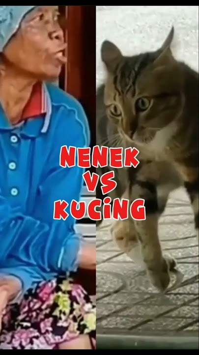 Nenek vs Kucing #funny #funnyvideo #cat #kucing #kucinglucu #ngomel #memes #nenekbarbar #shorts