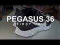 Pegasus 36 - First Run