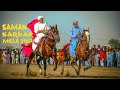 Sindhi horse  saman sarkar mela  pangriobadin sindh pakistan