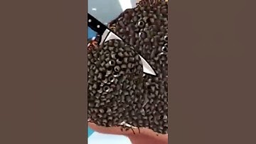 ASMR Cutting Animation ✂️ Ultra Satisfying Relaxing Sounds