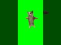 Happy happy cat meme🤣!! Green screen memes 🟢!! #happyhappycat #memes #shorts #viral #foryou #comedy