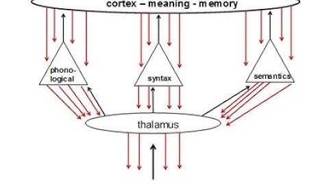 A MEANING-BASED INTERVENTION FOR READING: USE WITH RIT