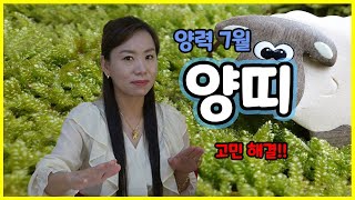 2020년 양력 7월 양띠 운세/ 속 시원한 고민해결 / 고민 타파! /