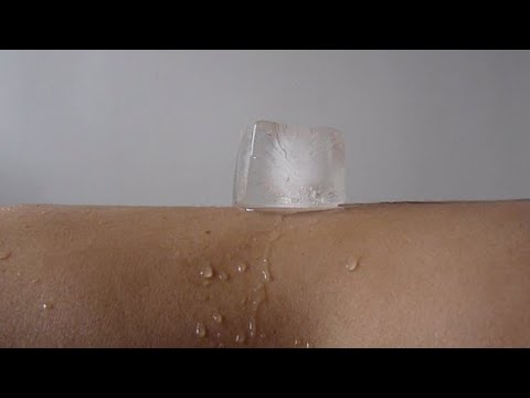 a moment, they end (full EP video) - mara wild