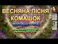 ВЕСНЯНА ПІСНЯ КОМАШОК НІНОЧКА КОЗІЙ ВЕСНЯНА ПІСНЯ КОМАШОК НІНОЧКА КОЗІЙ