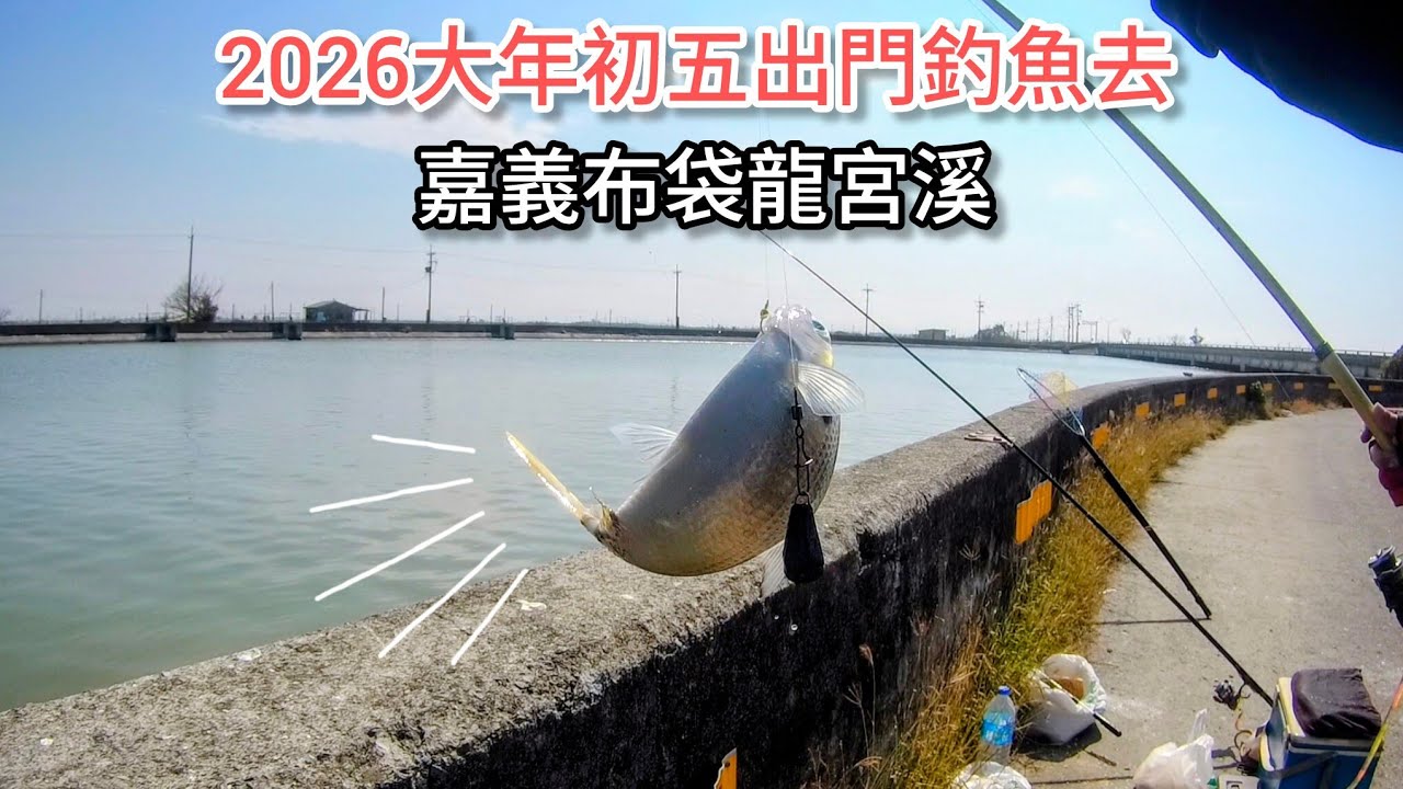 2026大年初五出門釣烏魚 祝大家新的一年都能漁獲滿滿！（401集）@Pin338548 阿平趴趴走