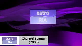 Channel Bumper 2008 Astro Ria