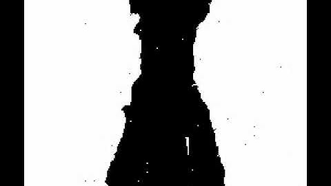 Arbitrary Code Execution: Photomosaic Video in RotTK2 (WIP2 2020.05.01)