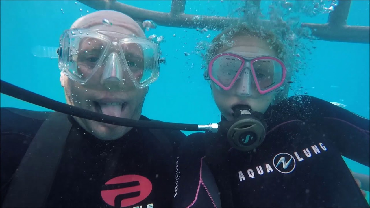 camera iphone 8 plus apk Shark Diver Great White Shark Expedition 8-6-18