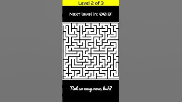 Maze Puzzle Challenge: Can You Solve All 3 Levels? 🧠✨
