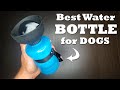 Best Water Bottle for Dogs