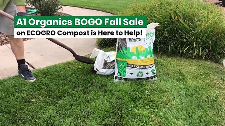 Fall Lawn Care - Compost - Top Dress