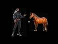 Morse + Horse 💀