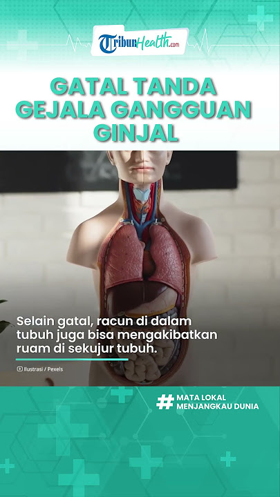 Waspadai Kulit Terasa Gatal Bisa Jadi Tanda Ginjal Terganggu, Kenali Gejalanya Sejak Awal