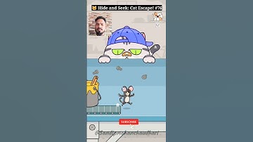 🐱 Hide and Seek: Cat Escape! #76 - Can You Beat This Impossible Level? 😱